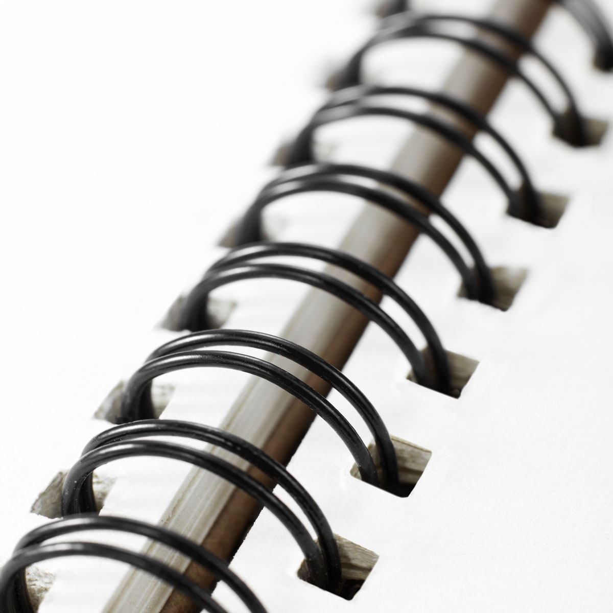 koelbl_leistungen-ring-2